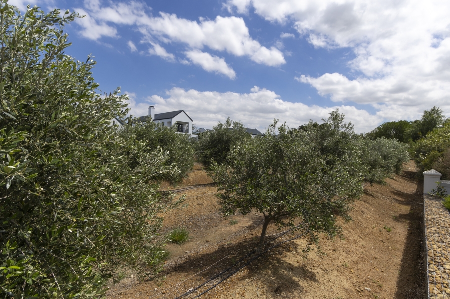 4 Bedroom Property for Sale in Croydon Olive Estate Western Cape